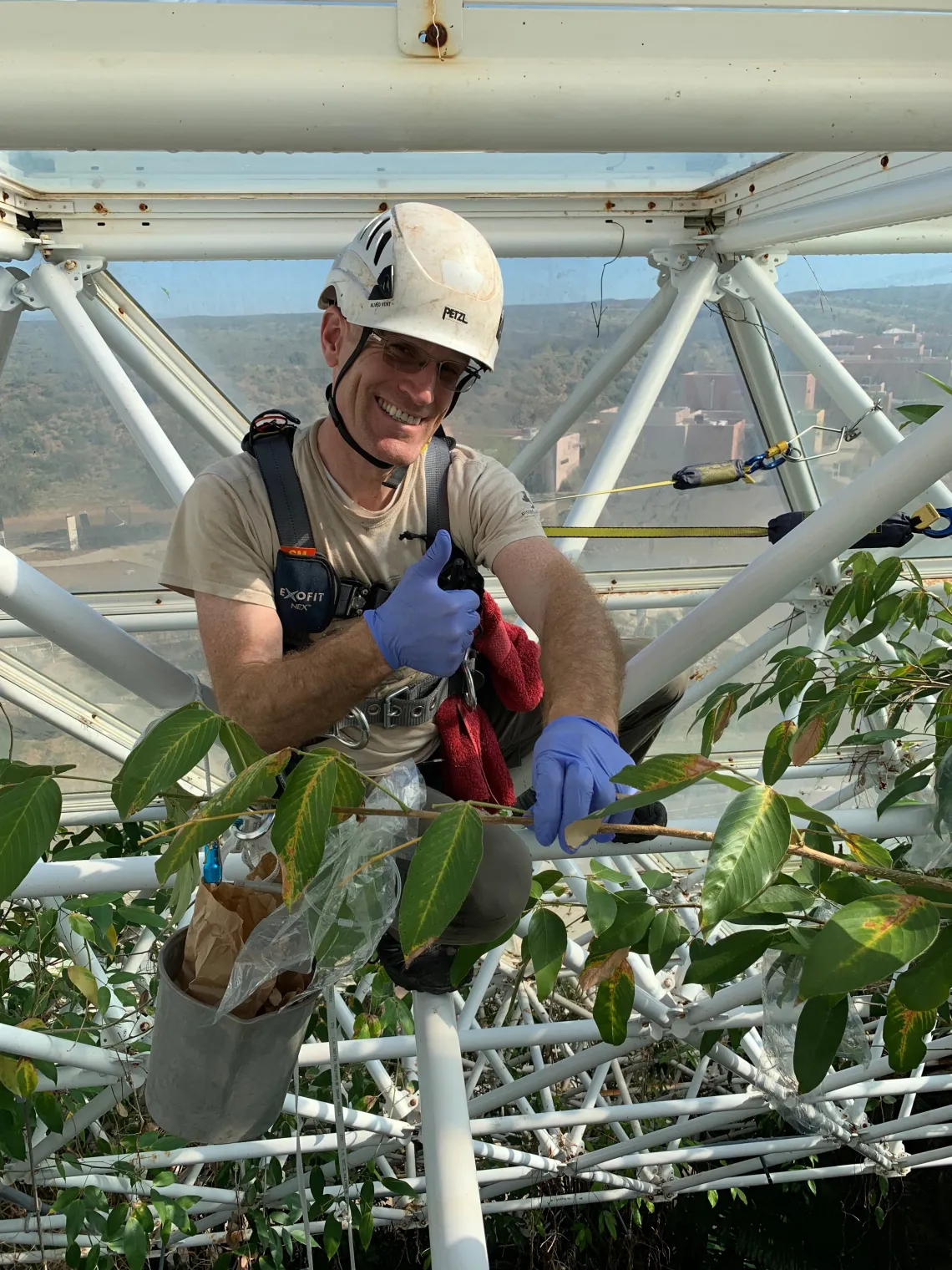 Janson in the canopy